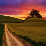 pexels-photo-1146708.jpegautocompresscstinysrgbdpr2h650w940dldosya