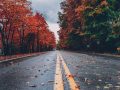 pexels-photo-1563356.jpegautocompresscstinysrgbdpr2h650w940dldosya