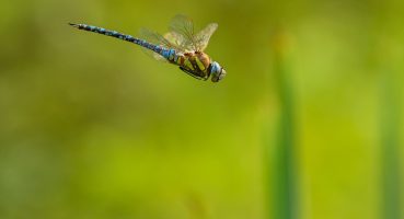 Mobil Uygulama Geliştirme Hataları ve Nasıl Önlenirler?