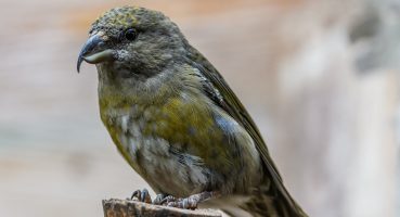 pexels-photo-18167087.jpegautocompresscstinysrgbdpr2h650w940dldosya