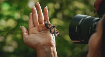 Xamarin ile Kamera ve Fotoğraf Galerisi Entegrasyonu