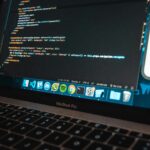 pexels-rsantos1232-3888151